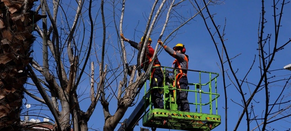 Maltepe’nin parkları bahara hazırlanıyor