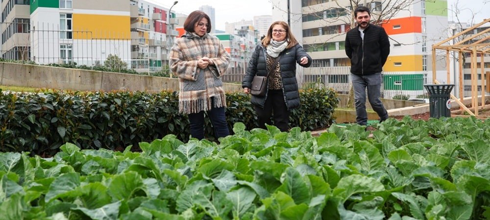 Çocuk Tarım Parkı hizmete açılmaya hazırlanıyor