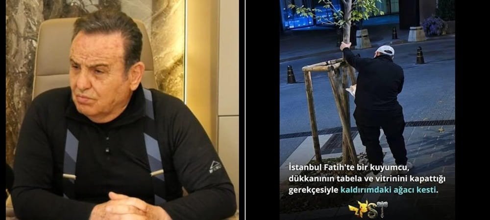Tekin Seyrekoğlu’ndan Ağaç İddialarına Sert Yanıt: “Hakkımdaki İddialar Gerçek Dışıdır”
