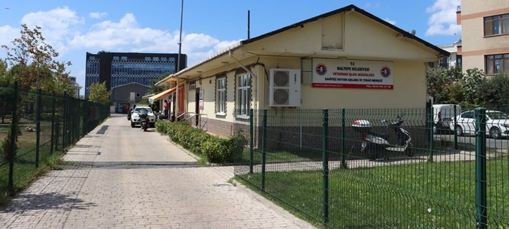 Maltepe Belediyesi’nden sokak hayvanlarına şefkat eli